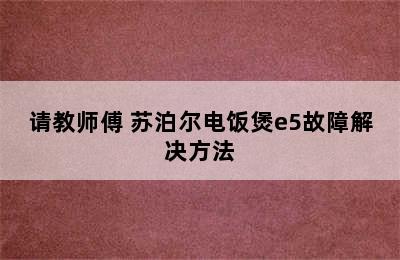 请教师傅 苏泊尔电饭煲e5故障解决方法